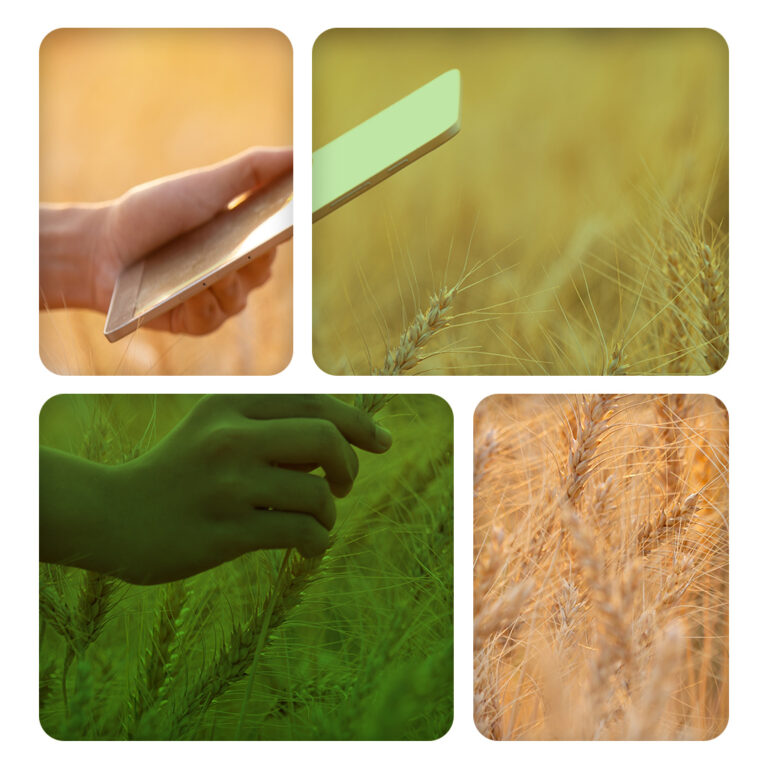 Pakistan has the solution for crop supply chains: Article by PAC CEO